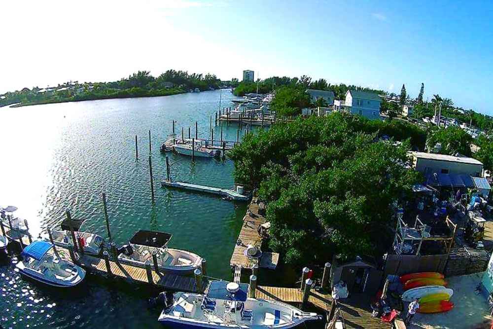 Photo of marina in Marathon, Florida with boat rentals tied up at the dock in the bay and trees in the foreground on a clear sunny day