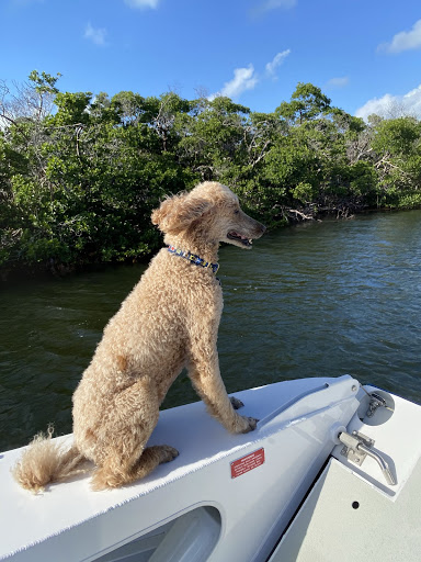 boat tours near duck key fl