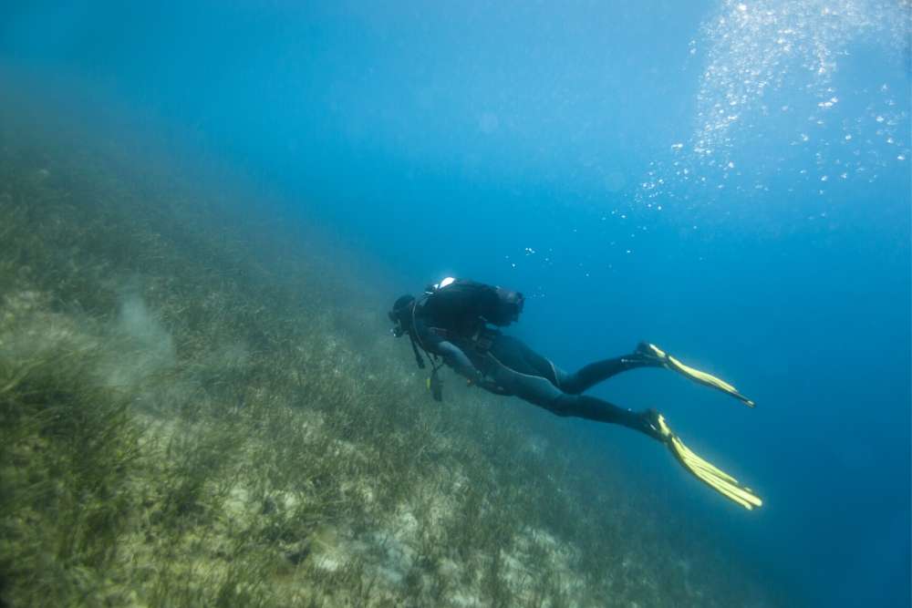 boat tours near duck key fl