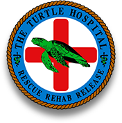 sea turtle hospital logo
